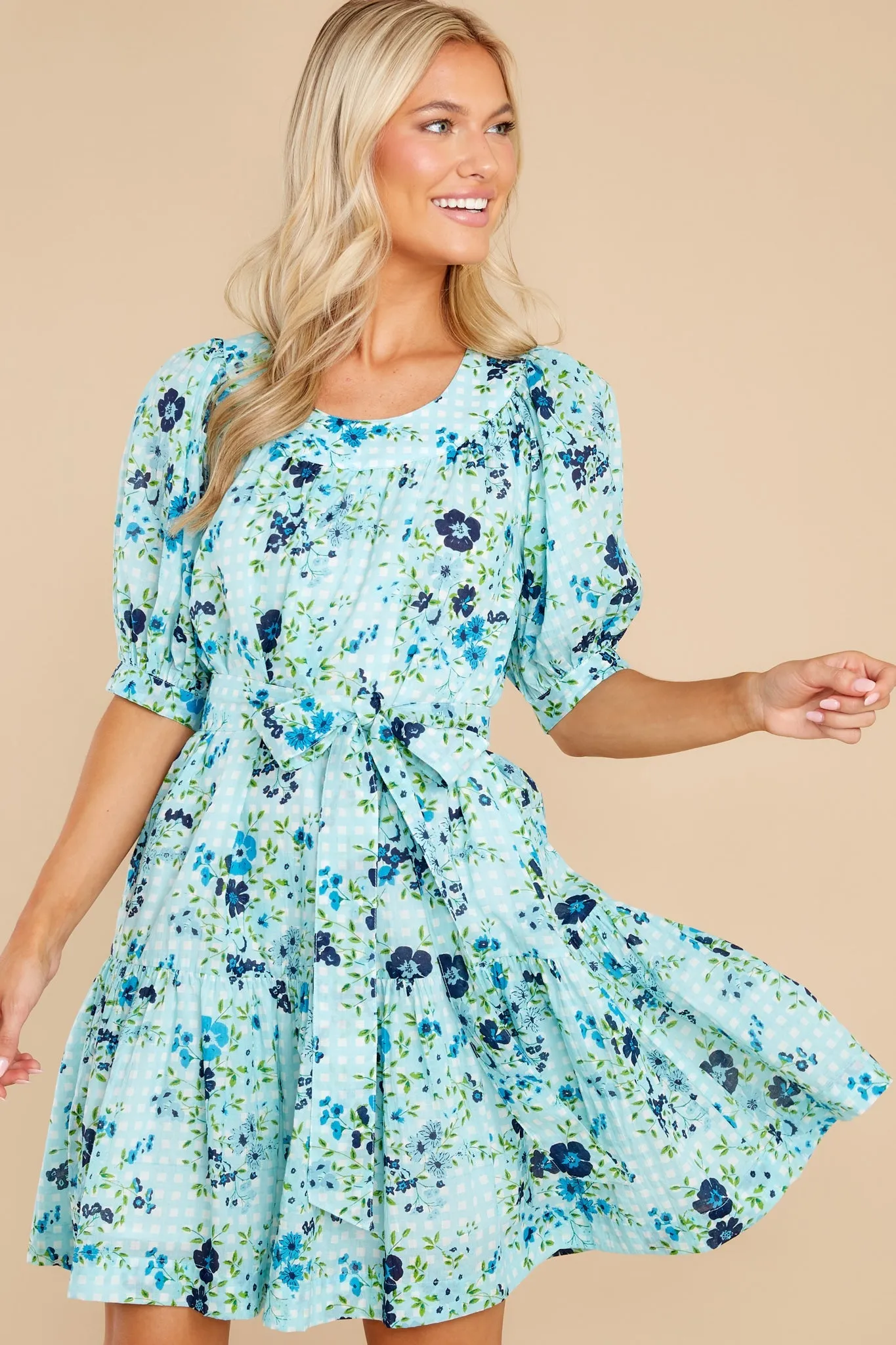 Anna English Garden Baby Blue Dress