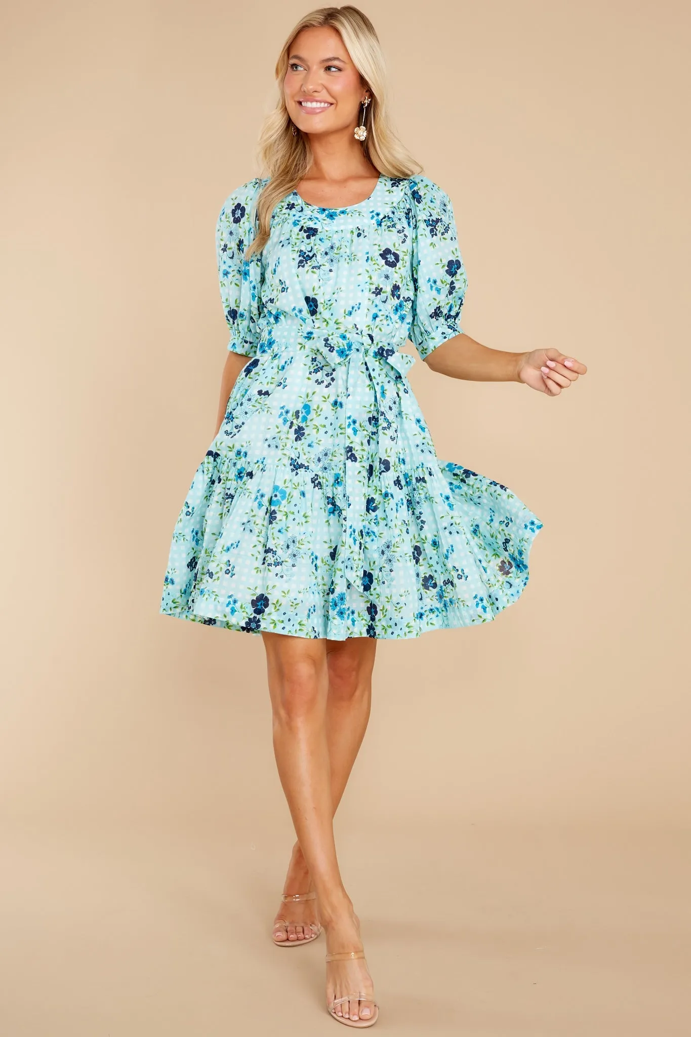 Anna English Garden Baby Blue Dress
