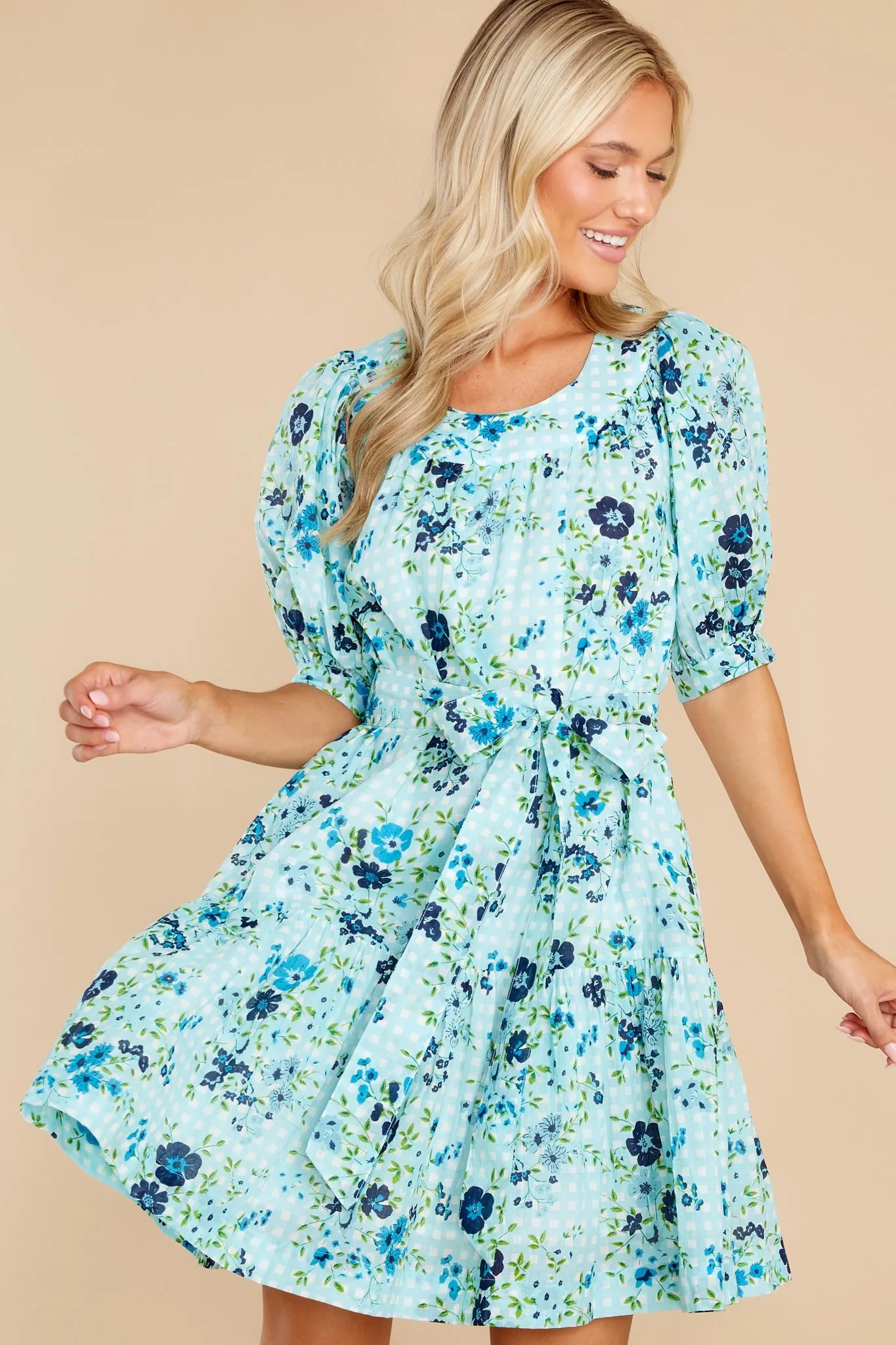 Anna English Garden Baby Blue Dress
