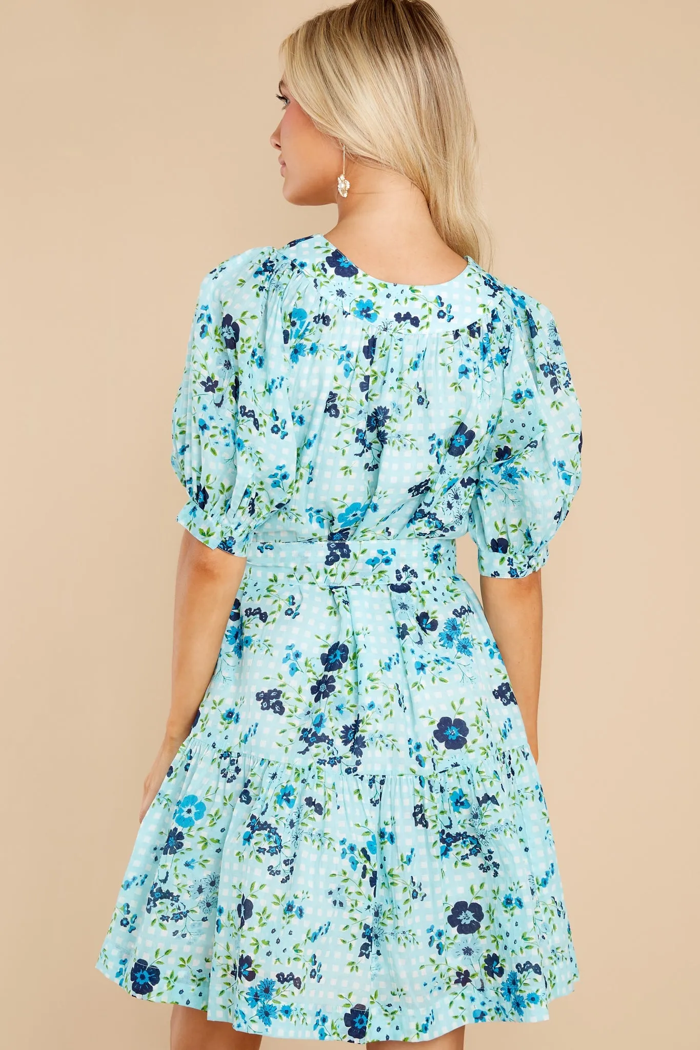 Anna English Garden Baby Blue Dress