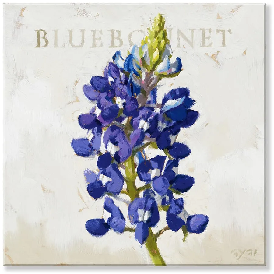 Bluebonnet Giclee Wall Art